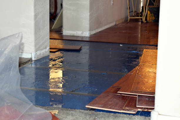 Professional Sewage Cleanup technician working in Carolina, RI